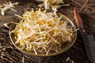 Ham sağlıklı beyaz fasulye filizi