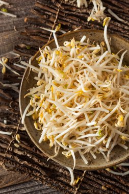 Ham sağlıklı beyaz fasulye filizi