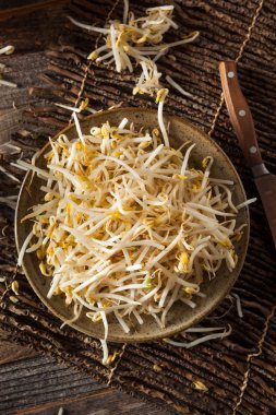 Ham sağlıklı beyaz fasulye filizi