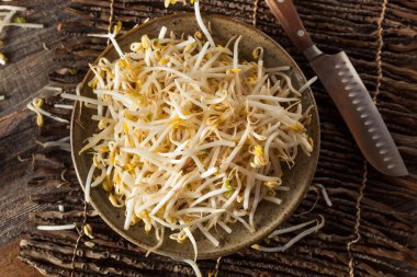 Ham sağlıklı beyaz fasulye filizi