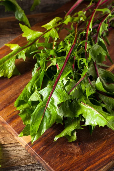 Raw Organic Red Dandelion Greens — Stock Photo, Image