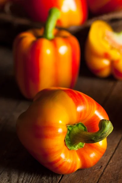 Raw Organic Striped Red Bell Pepper — Stock Photo, Image