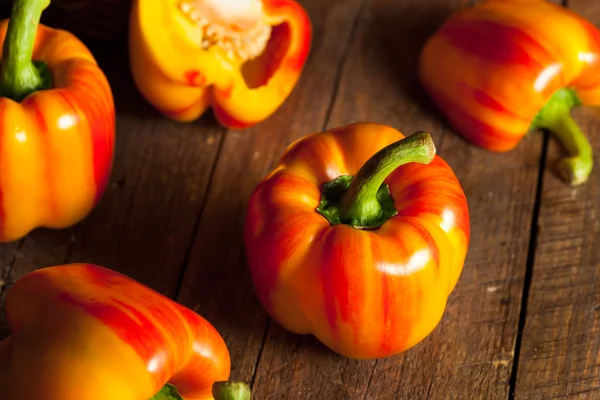 Ham organik çizgili kırmızı dolmalık biber