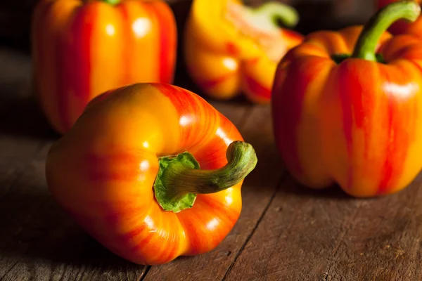 Raw Organic Striped Red Bell Pepper — Stock Photo, Image