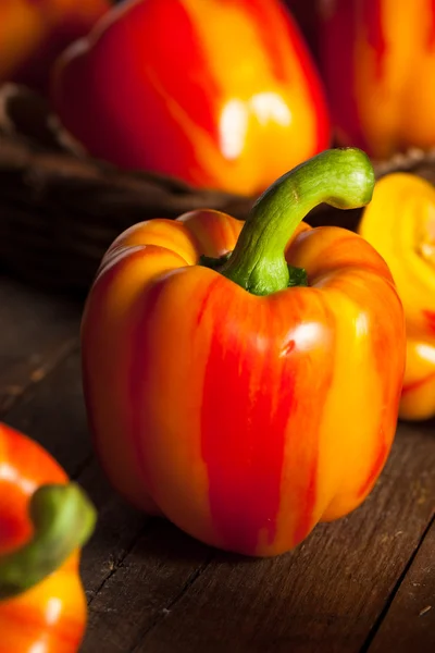 Rauwe biologische gestreepte rode paprika — Stockfoto