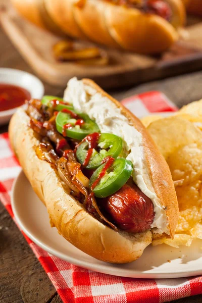 Hemgjord Seattle stil Hot Dog — Stockfoto