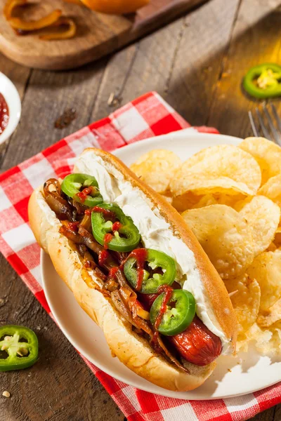 Domowe Seattle stylu Hot Dog — Zdjęcie stockowe