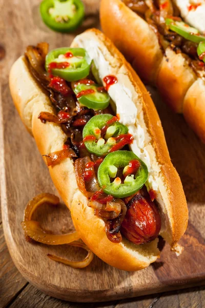 Hausgemachter Seattle Style Hot Dog — Stockfoto