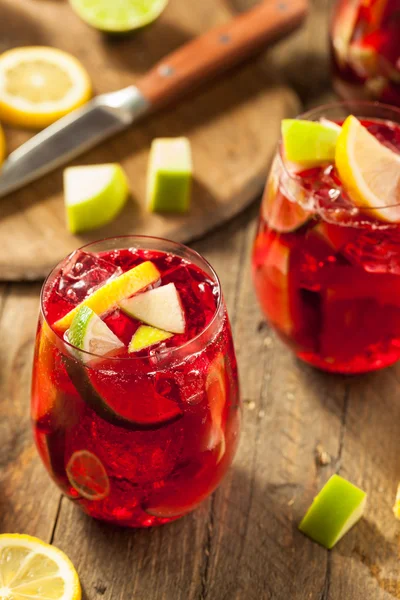 Házi gyümölcsös spanyol vörös Sangria — Stock Fotó