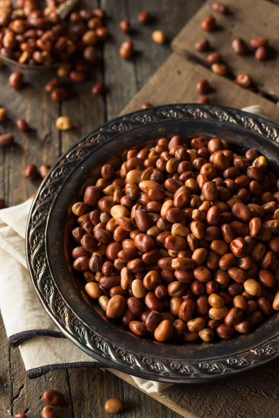 Frijoles Fava orgánicos secos crudos — Foto de Stock