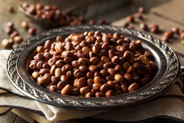Ruwe droge organische Fava Beans — Stockfoto