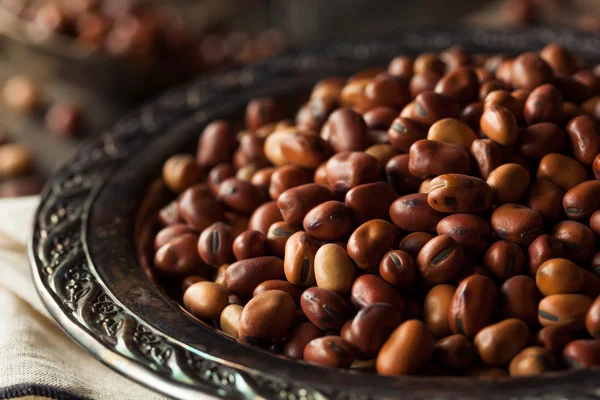 Ruwe droge organische Fava Beans — Stockfoto
