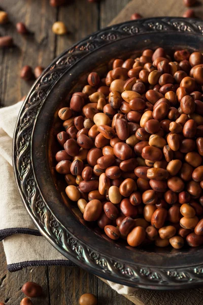 Frijoles Fava orgánicos secos crudos —  Fotos de Stock