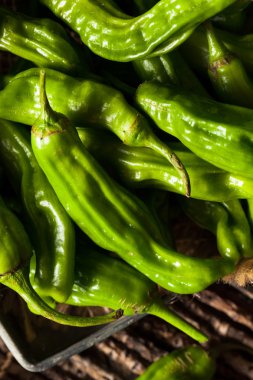 Ham organik yeşil Shashito biber
