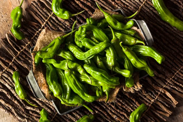 Rauwe biologische groene Shashito paprika — Stockfoto