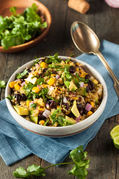 Homemade Southwestern Mexican Quinoa Salad — Stock Photo, Image