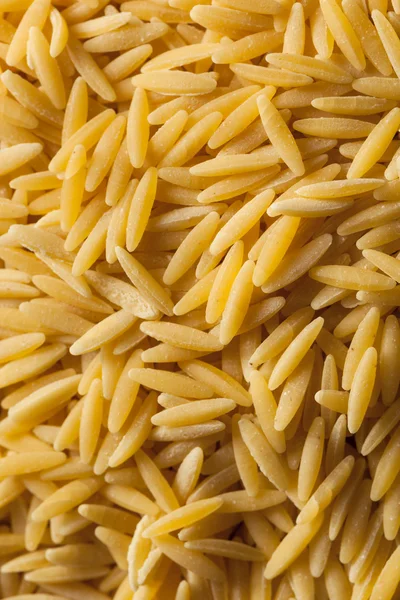 Råa ekologiska Orzo Pasta — Stockfoto