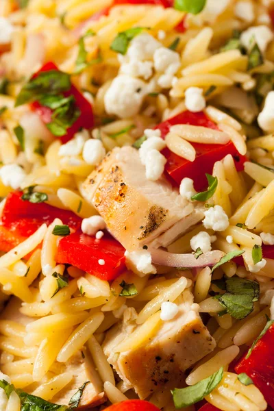 Salada caseira de frango Orzo — Fotografia de Stock