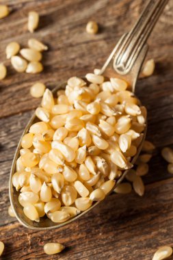 Ham organik beyaz patlamış mısır Kernals