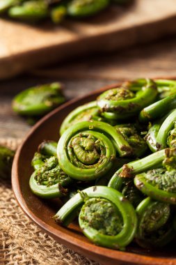 Ham organik yeşil Fiddlehead Ferns