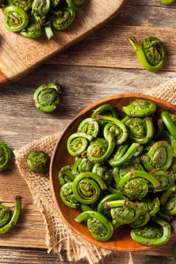 Ham organik yeşil Fiddlehead Ferns