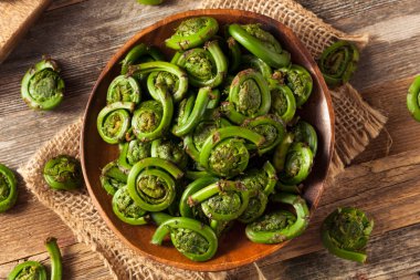 Ham organik yeşil Fiddlehead Ferns