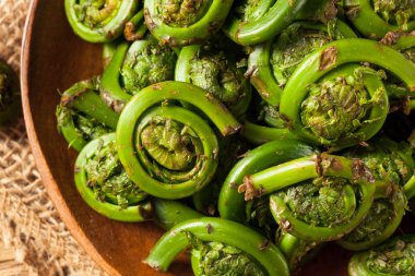 Ham organik yeşil Fiddlehead Ferns