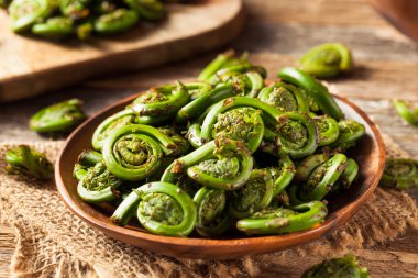 Ham organik yeşil Fiddlehead Ferns