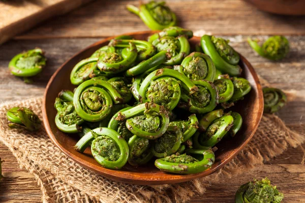 Ακατέργαστη βιολογική πράσινο Fiddlehead φτέρες — Φωτογραφία Αρχείου