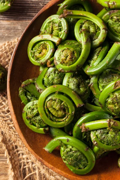 Råa ekologiska gröna Fiddlehead ormbunkar — Stockfoto