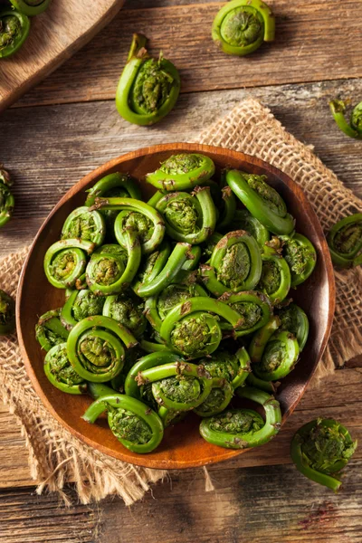 Rauwe biologische groene Fiddlehead varens — Stockfoto