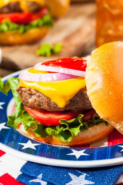 Picnic casero de la hamburguesa del día de conmemoración — Foto de Stock