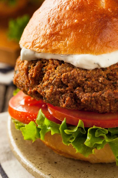 Homemade Mediterranean Falafel Burger — Stock Photo, Image