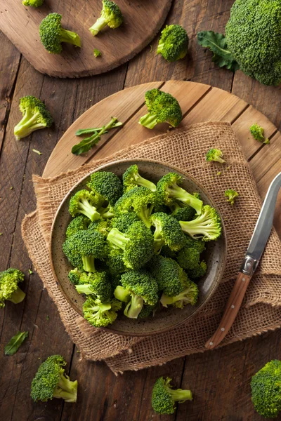 Floretes verdes sanos del brócoli crudo orgánico — Foto de Stock