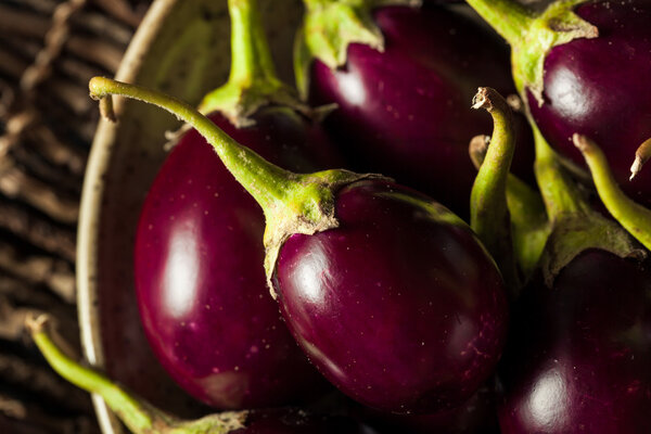 Organic Raw Baby Indian Eggplants