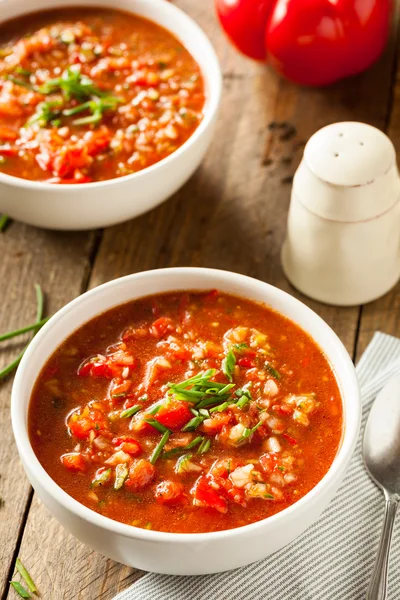 Zuppa di Gazpacho fatta in casa piccante — Foto Stock