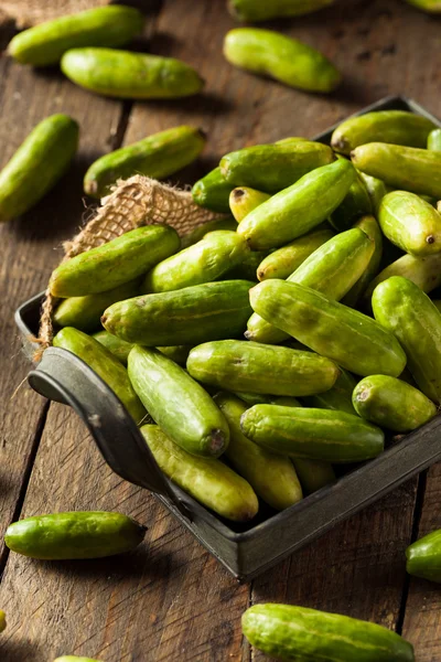 Rauwe groene organische Tindora — Stockfoto