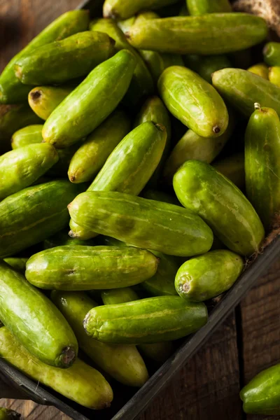 Rauwe groene organische Tindora — Stockfoto