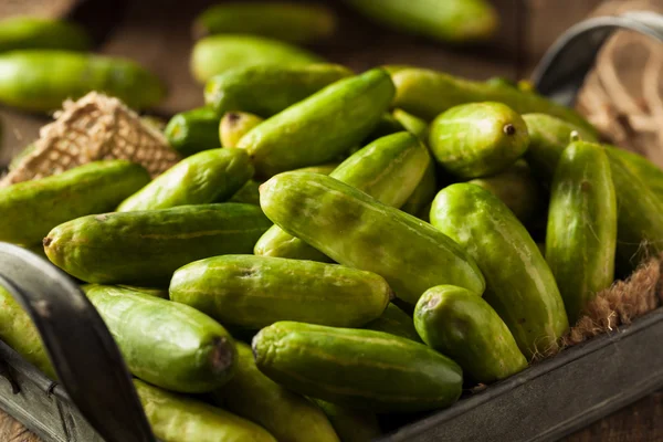 Rauwe groene organische Tindora — Stockfoto