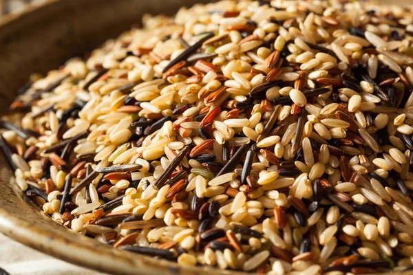 Ham kuru organik yabani pirinç — Stok fotoğraf