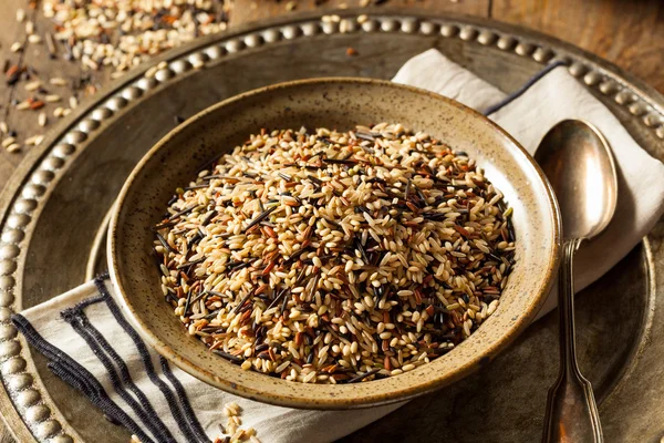 Raw Dry Organic Wild Rice — Stock Photo, Image