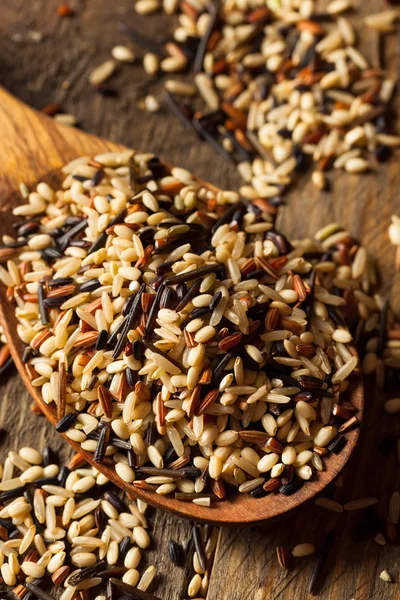 Raw Dry Organic Wild Rice — Stock Photo, Image