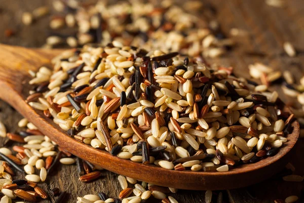 Raw Dry Organic Wild Rice — Stock Photo, Image