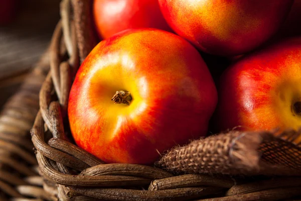 Gezonde biologische rauwe rijp Nectarines — Stockfoto