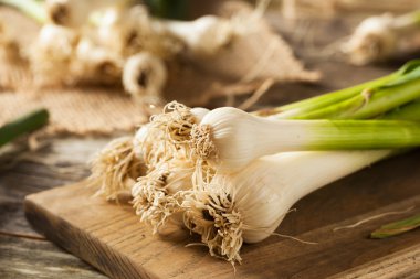 Ham organik bahar sarımsak