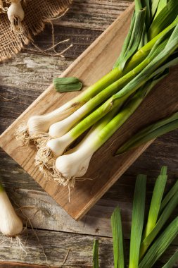 Ham organik bahar sarımsak