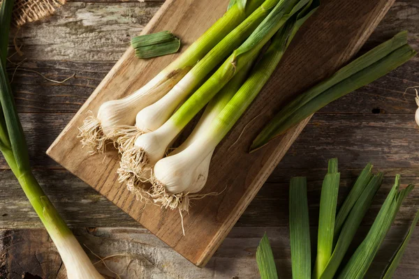 Ajo de primavera orgánico crudo — Foto de Stock