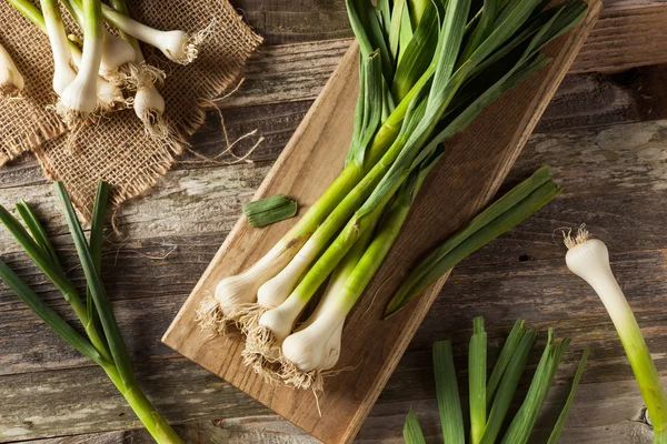 Ajo de primavera orgánico crudo —  Fotos de Stock