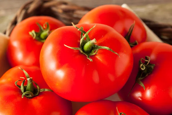 Pomodori di manzo rosso biologico crudo — Foto Stock