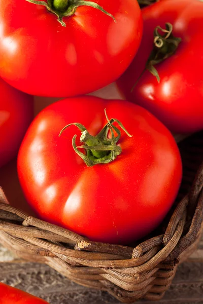 Råa ekologiska röd biff tomater — Stockfoto